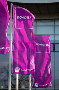 Domotes Flags
